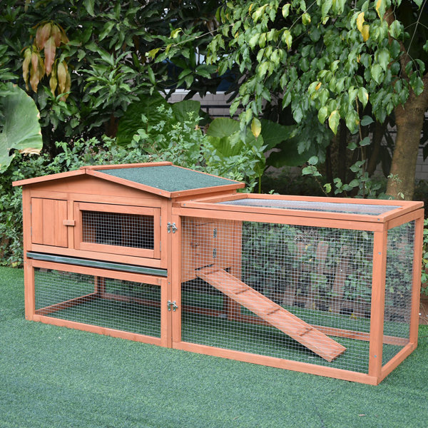 Outdoor Insulated Rabbit Hutch Wayfair